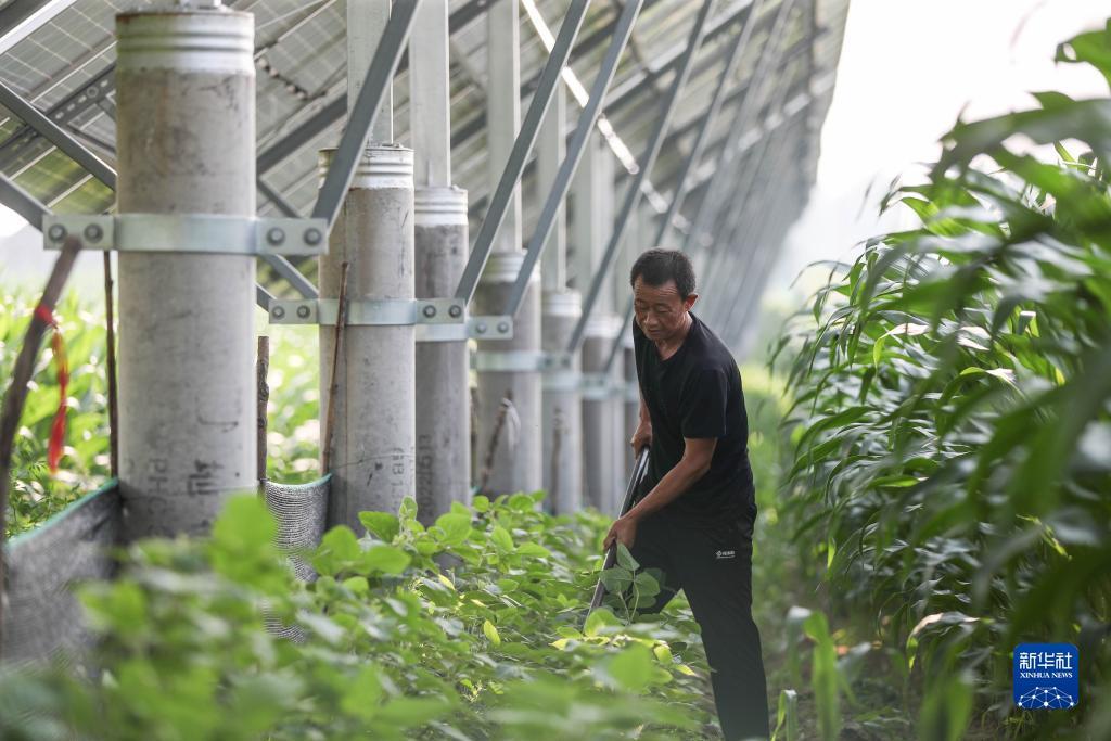同城游五张牌怎么没了